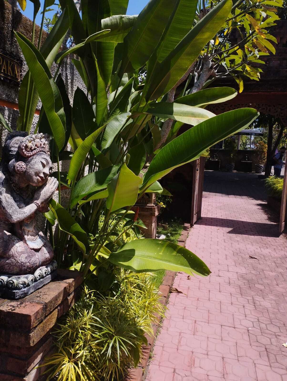 A stone statue of a figure with a crown, surrounded by large green leaves and plants.