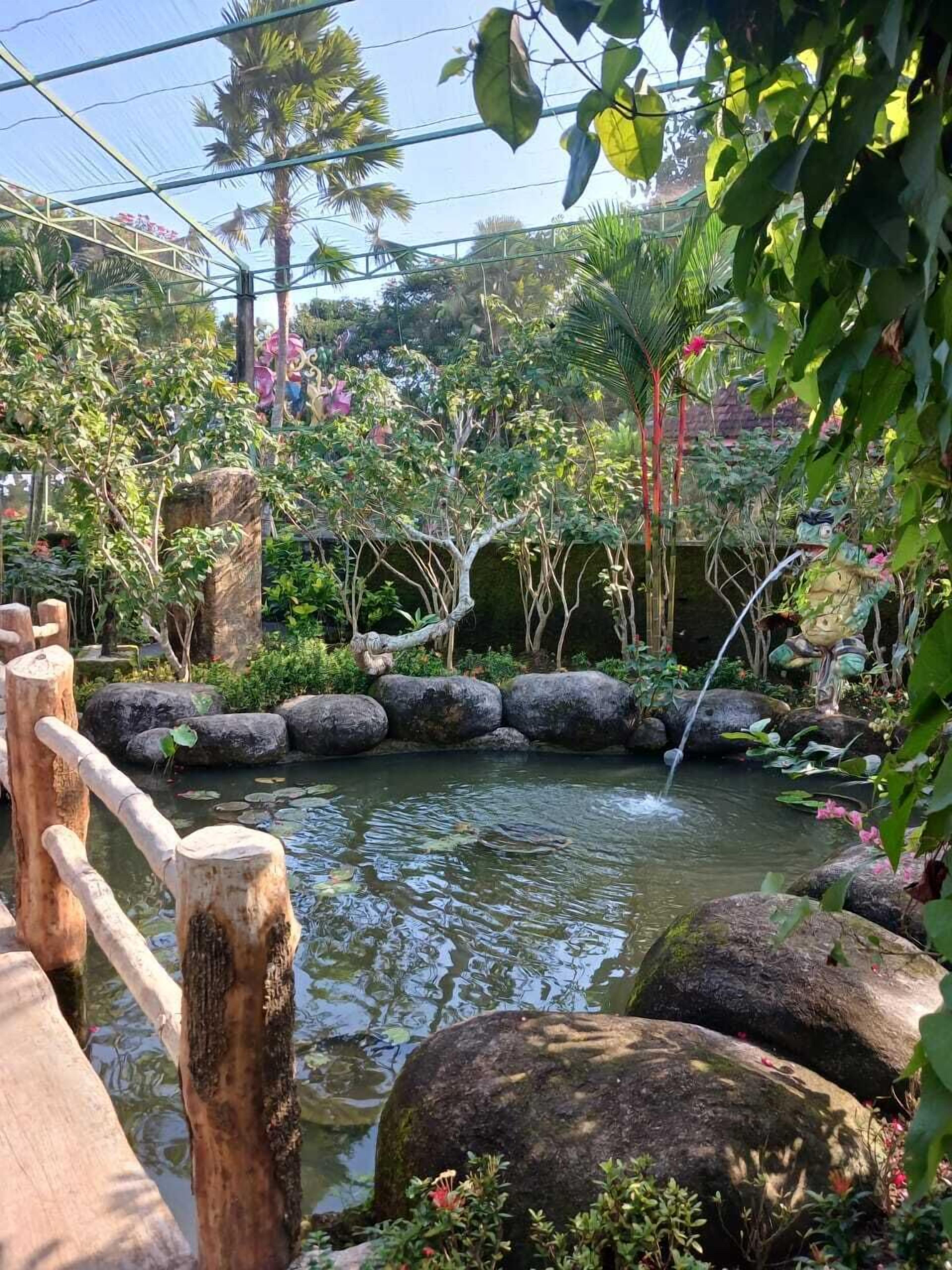 Un jardin paisible avec un étang, entouré de rochers et d’une végétation luxuriante.