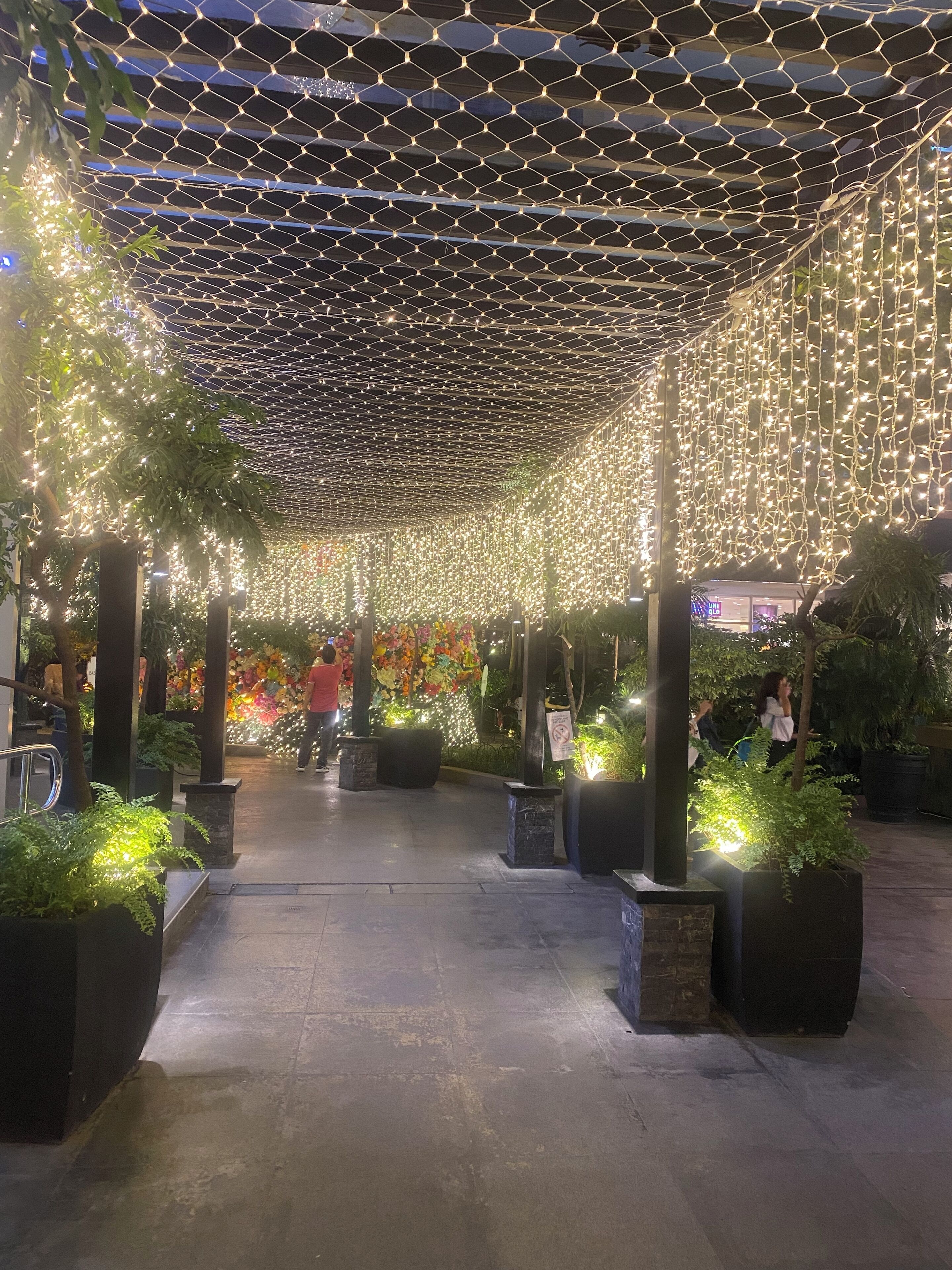 An indoor atrium with a netted ceiling and string lights, surrounded by potted plants and a floral wall.