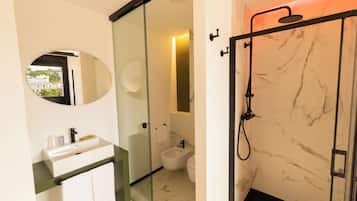 Ducha, cabezal de ducha tipo lluvia, secador de pelo, bidet