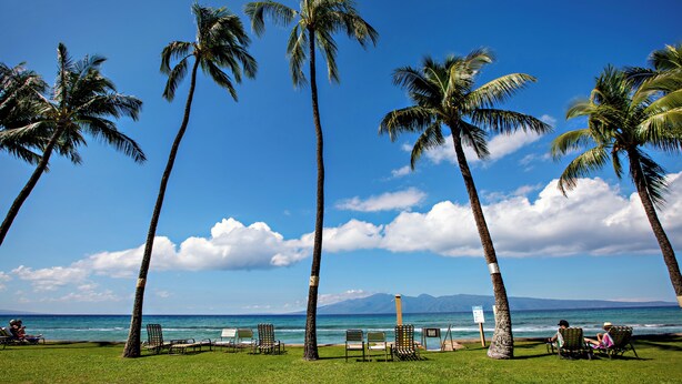 Ein Strand mit Palmen, Liegestühlen und Blick aufs Meer.