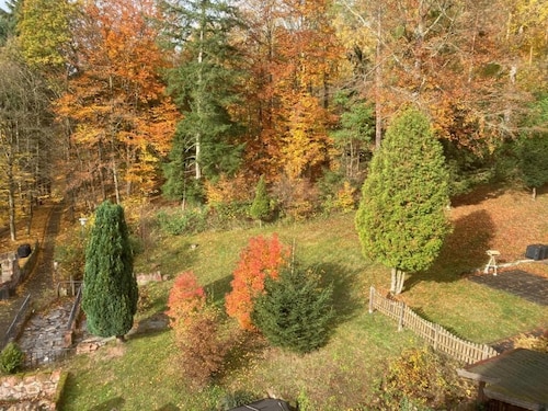 Immensee II mit See- & Burgruinenblick, Gemeinschaftsraum + Kamin