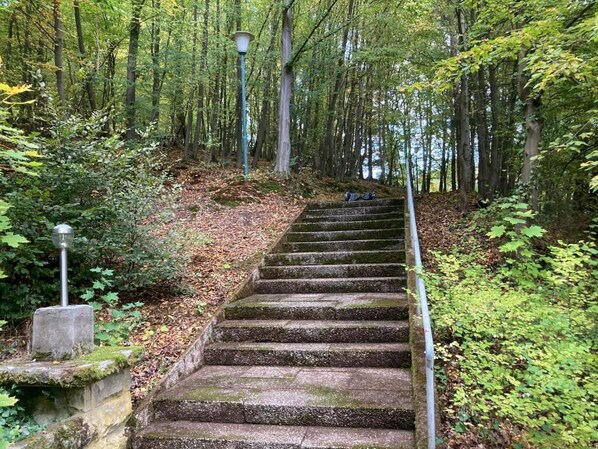 Property grounds - Immensee II Apartment with lake view and located at the forest edge (Ronshausen)