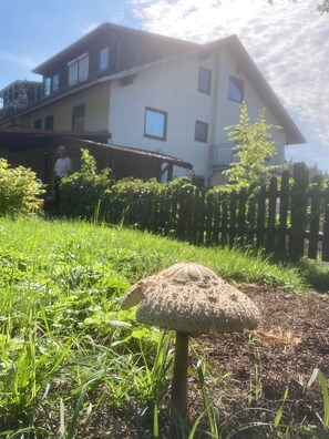 Un champignon dans un champ, avec une maison en arrière-plan.