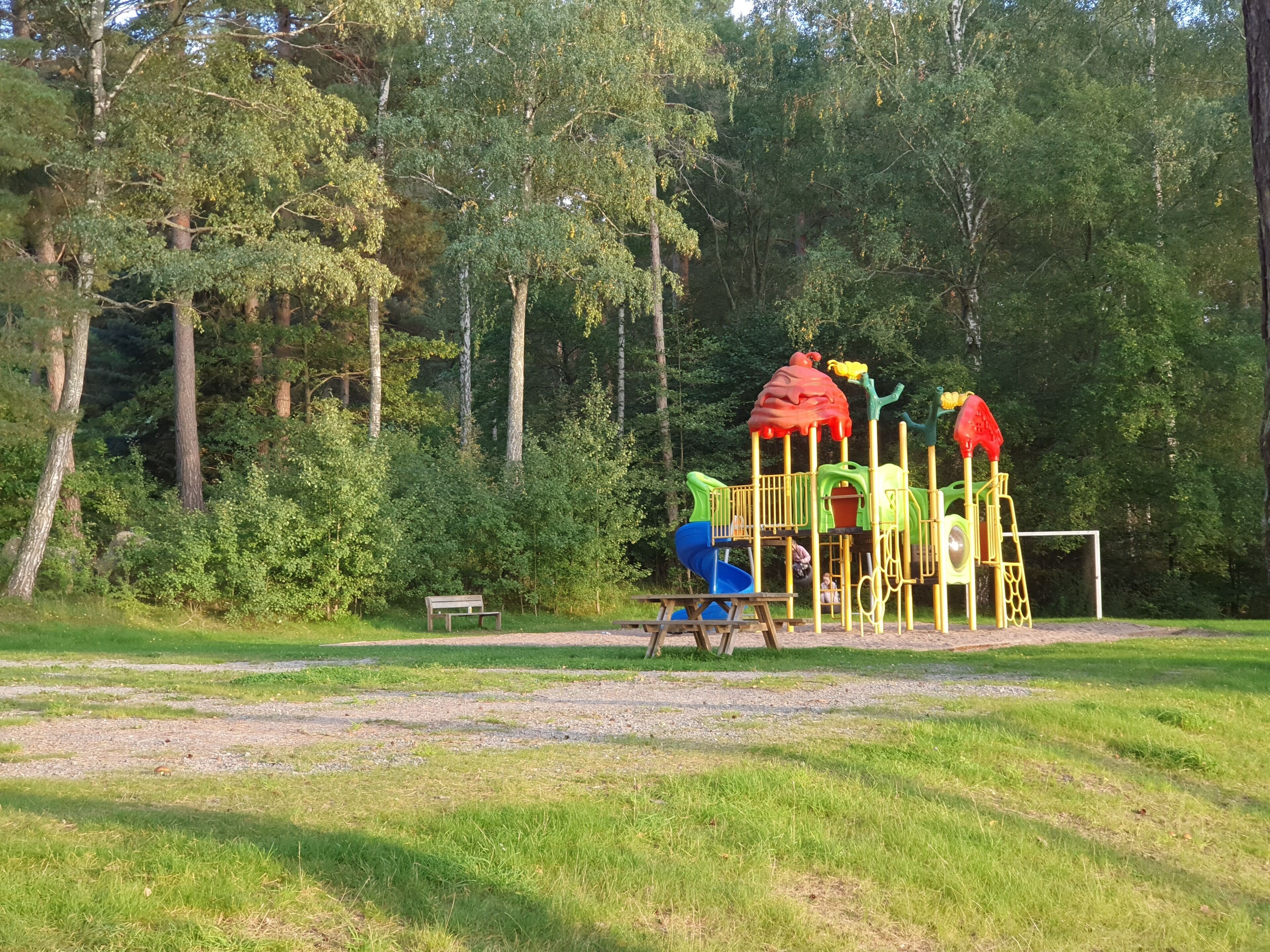 Un terrain de jeux avec des toboggans et des structures d’escalade, le tout entouré d’arbres.