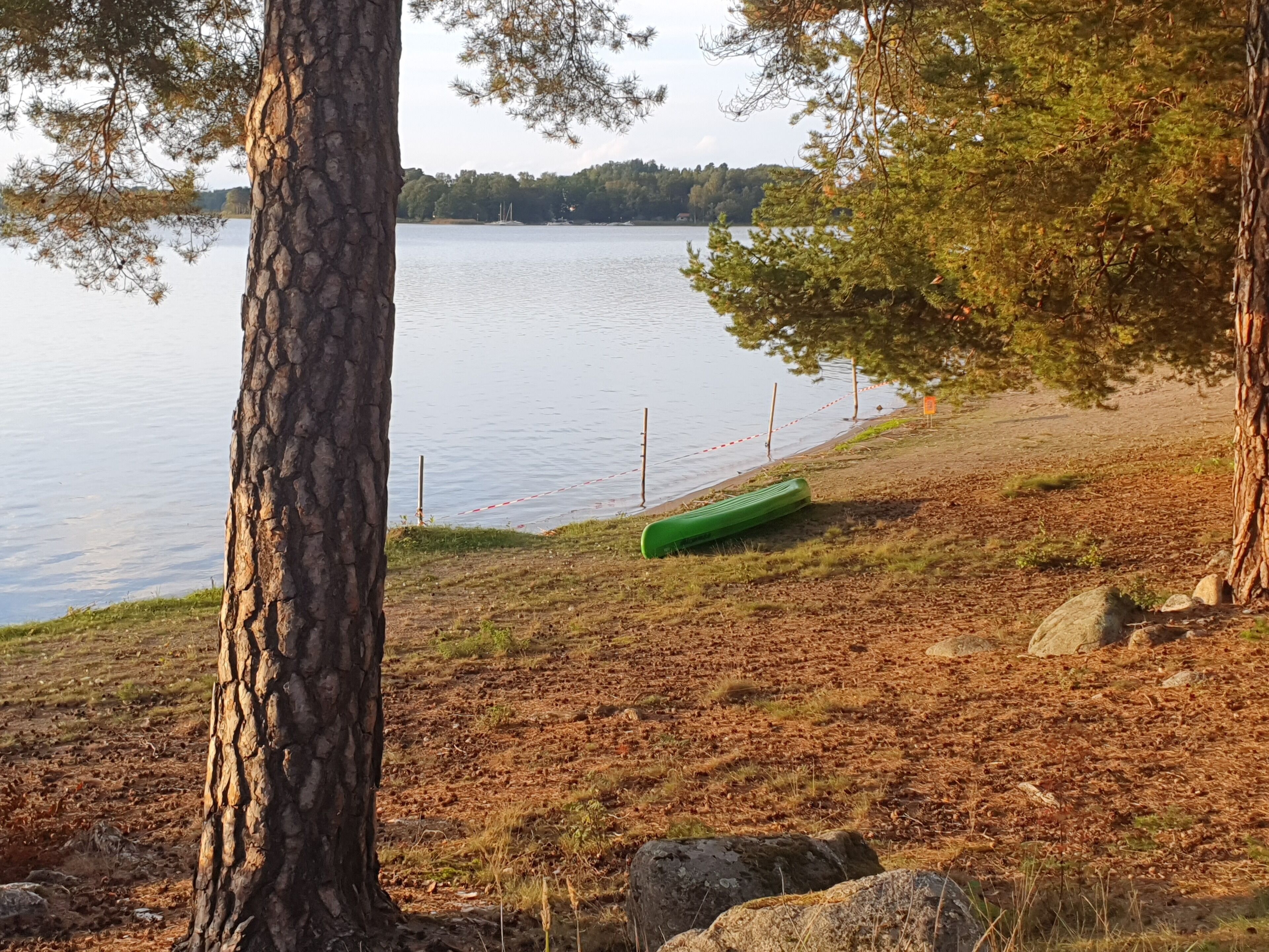 A lakeside view with a canoe, trees, and a distant shoreline.