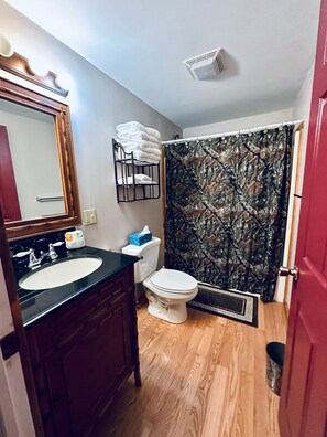 Hair dryer, towels, toilet paper - Spacious, secluded cabin (Cherry Creek)