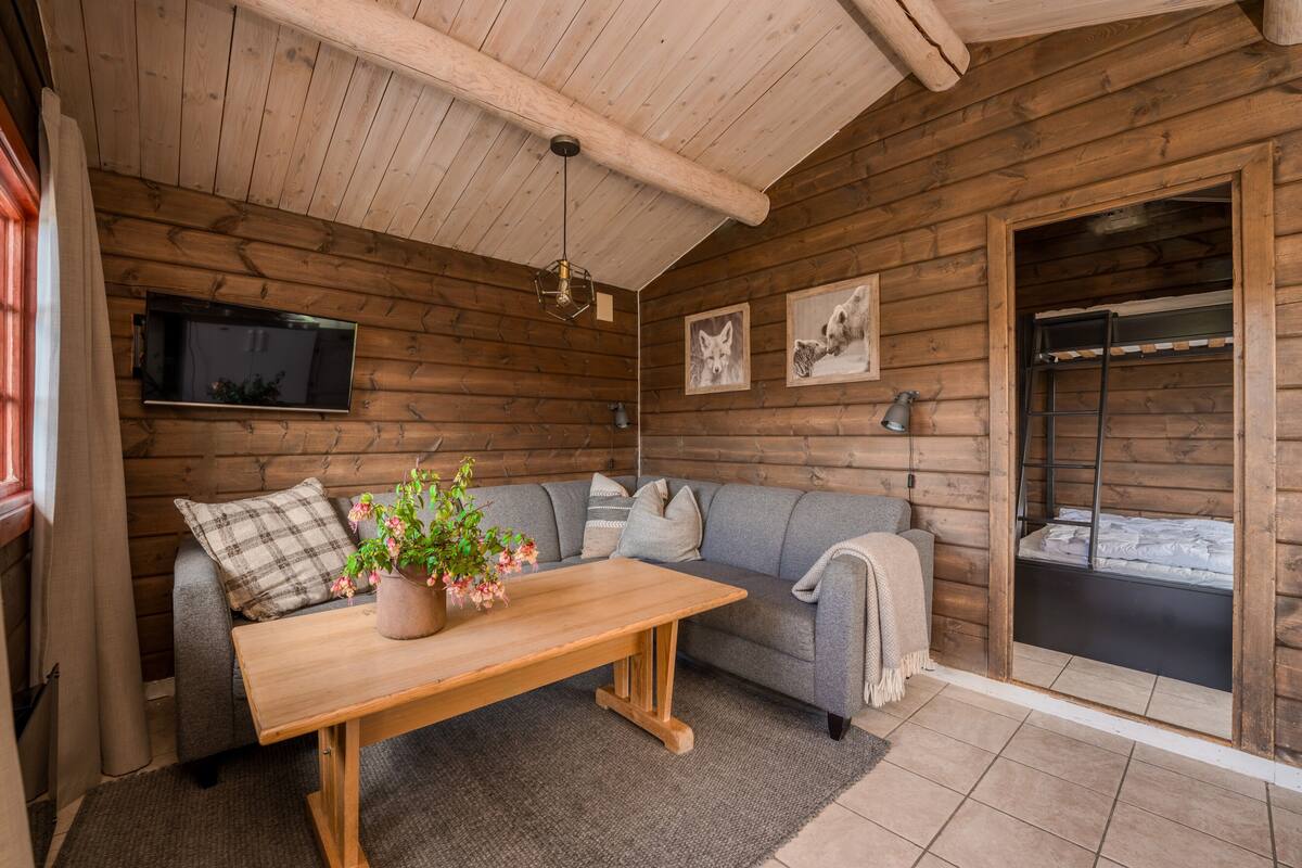 A cozy cabin interior with a wooden ceiling, a sofa, a table with a potted plant, and a television mounted on the wall.
