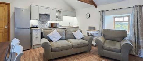 Televisión, chimenea, reproductor de DVD y libros