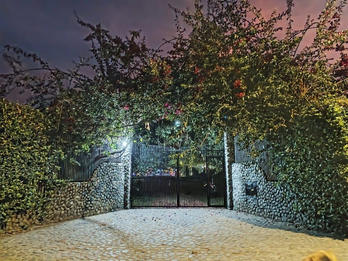 Chalet | Property grounds