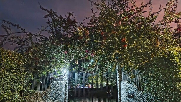 Een geplaveid pad met een stenen muur en een metalen poort, omringd door weelderige beplanting en bomen.