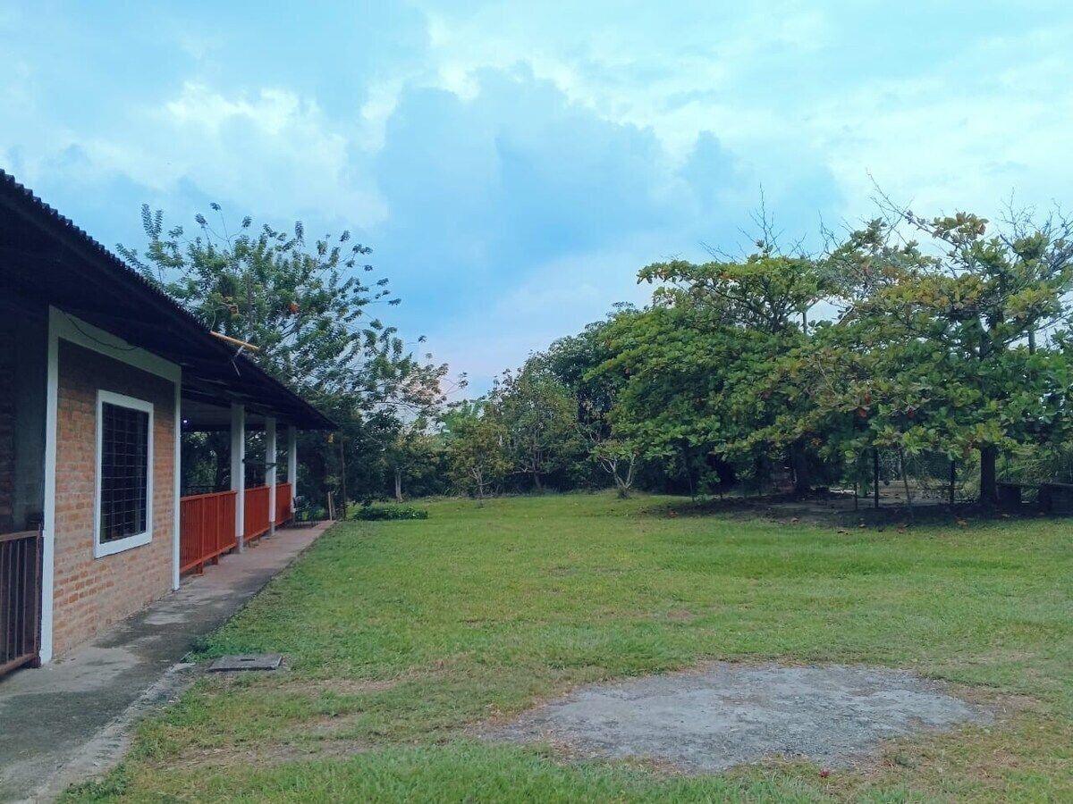 A covered outdoor area with a brick building, a grassy lawn, and trees.