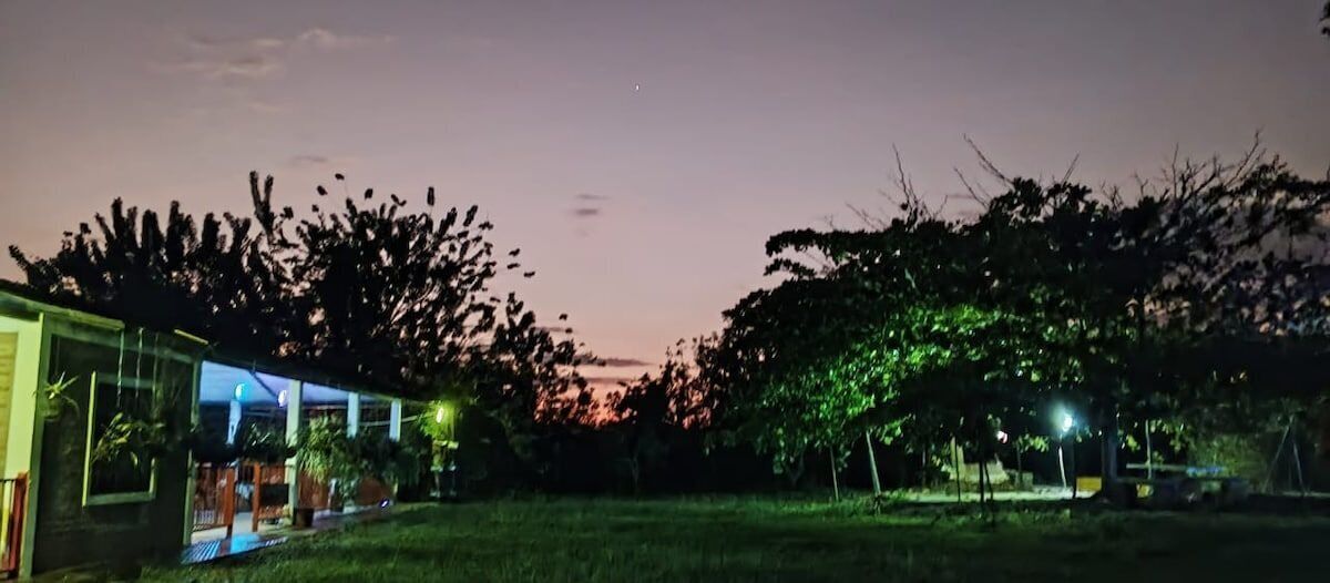 Vista notturna di un edificio con facciata in vetro, circondato da alberi e un'area verde.