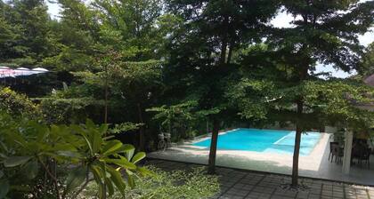 Escape to Wellness Bliss Resort: Your Ultimate Oasis of Relaxation and Renewal!