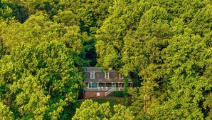 Une maison entourée d’une forêt dense et verdoyante.