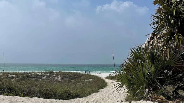 Ein sandiger Küstenpfad führt zum Meer, mit Fußabdrücken und vereinzelter Vegetation.