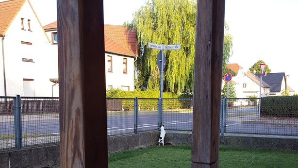 A wooden deck with a view of a street and a dog playing in the yard.