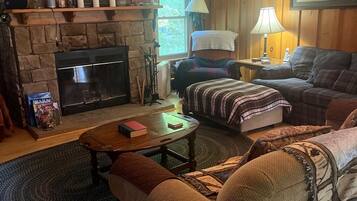 TV, fireplace, DVD player, books