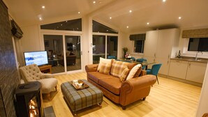 Una sala de estar moderna con chimenea, un sofá, una mesa de centro y un televisor.