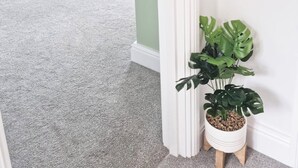 Une chambre à coucher avec un lit, une chaise, une plante en pot et une porte donnant sur une autre pièce.