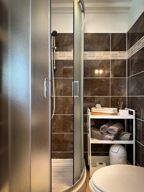 Hair dryer, towels, toilet paper