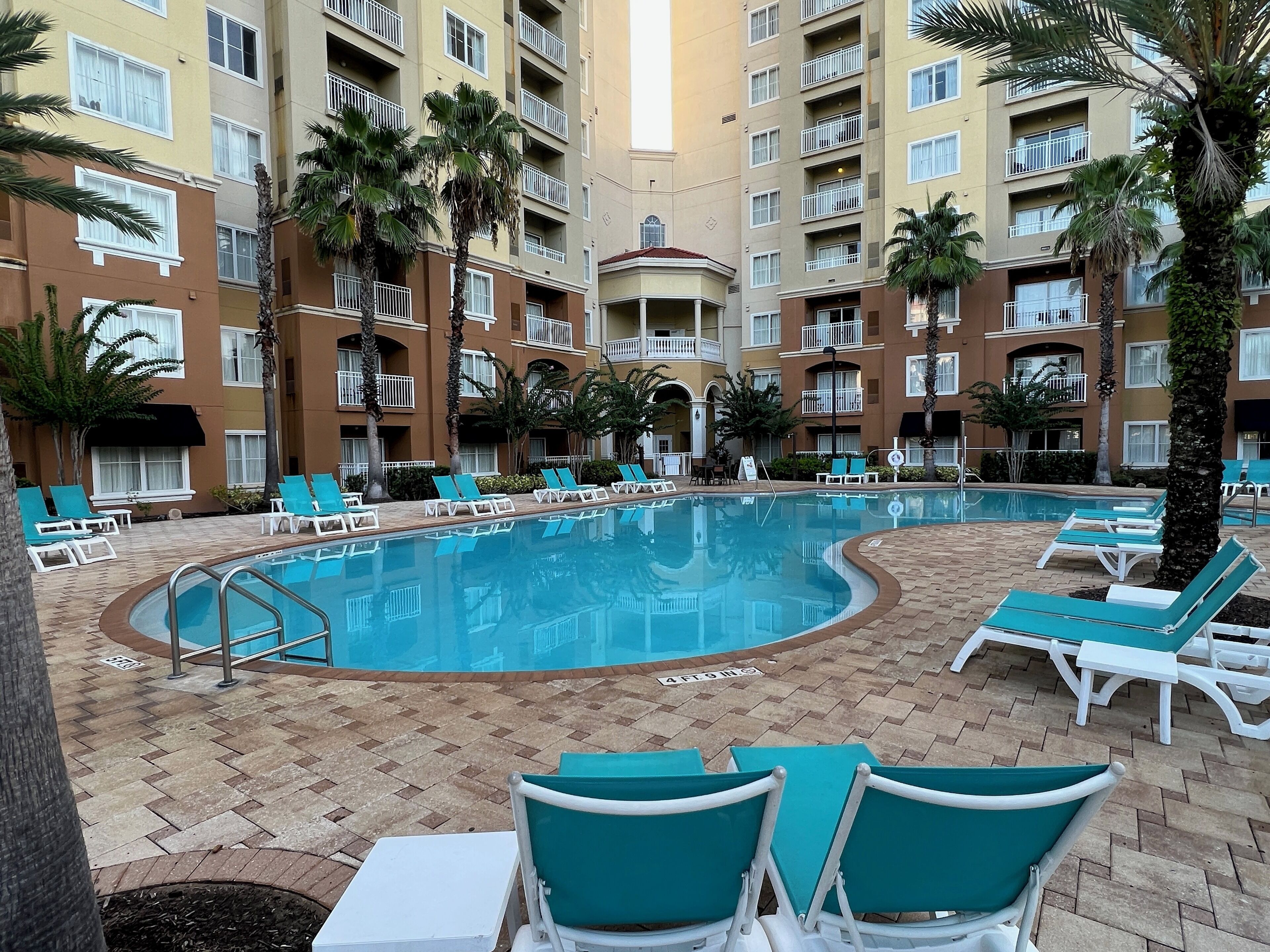 A pool area with lounge chairs and palm trees.
