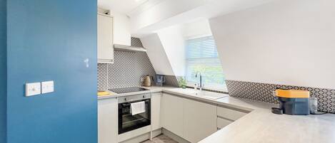 Family Apartment | Private kitchen | Full-sized fridge, microwave, oven, electric kettle