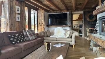 TV, fireplace, DVD player, books