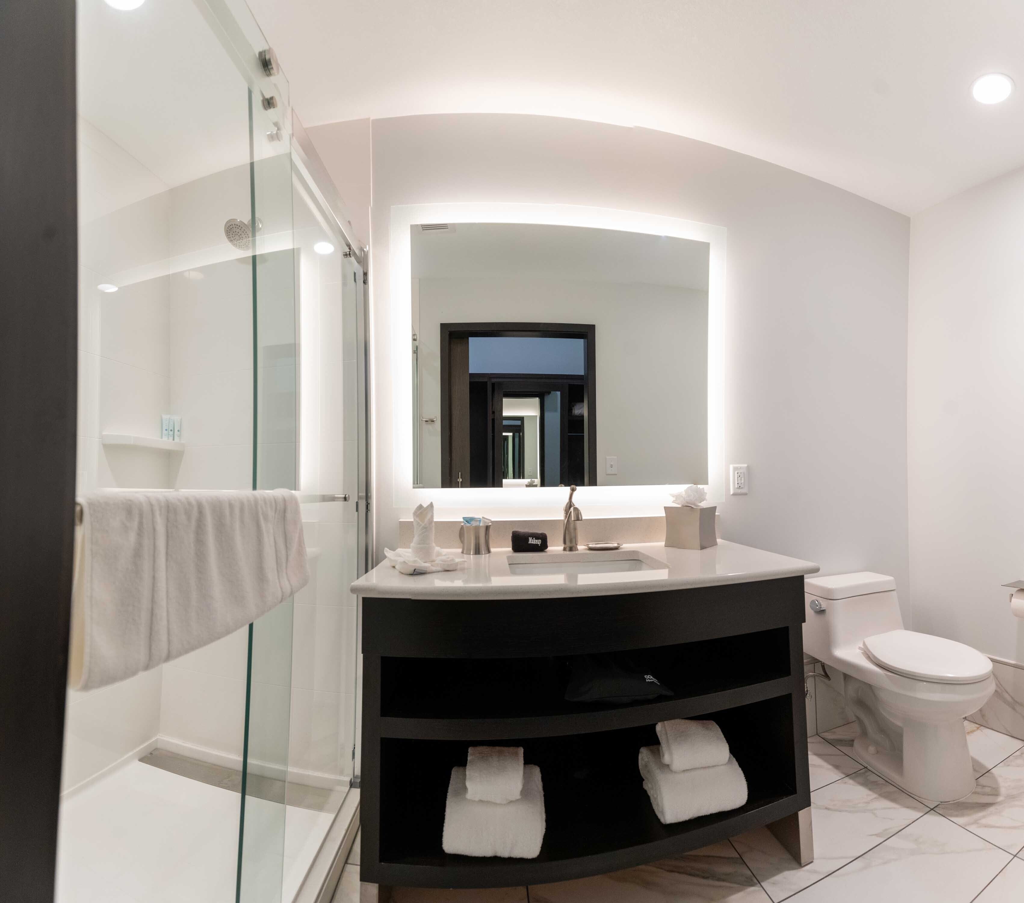 A modern bathroom with a glass shower enclosure, a vanity with a mirror, and a toilet.