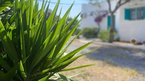 Un edifici amb façana blanca i persianes blaves, envoltat de verdura i un cel serè.