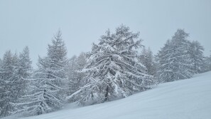 Sports d’hiver