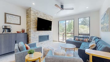 TV, fireplace, books