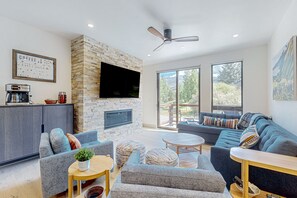 TV, fireplace, books