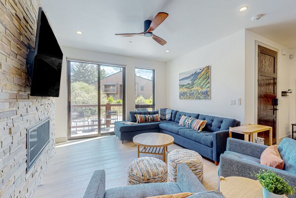 TV, fireplace, books