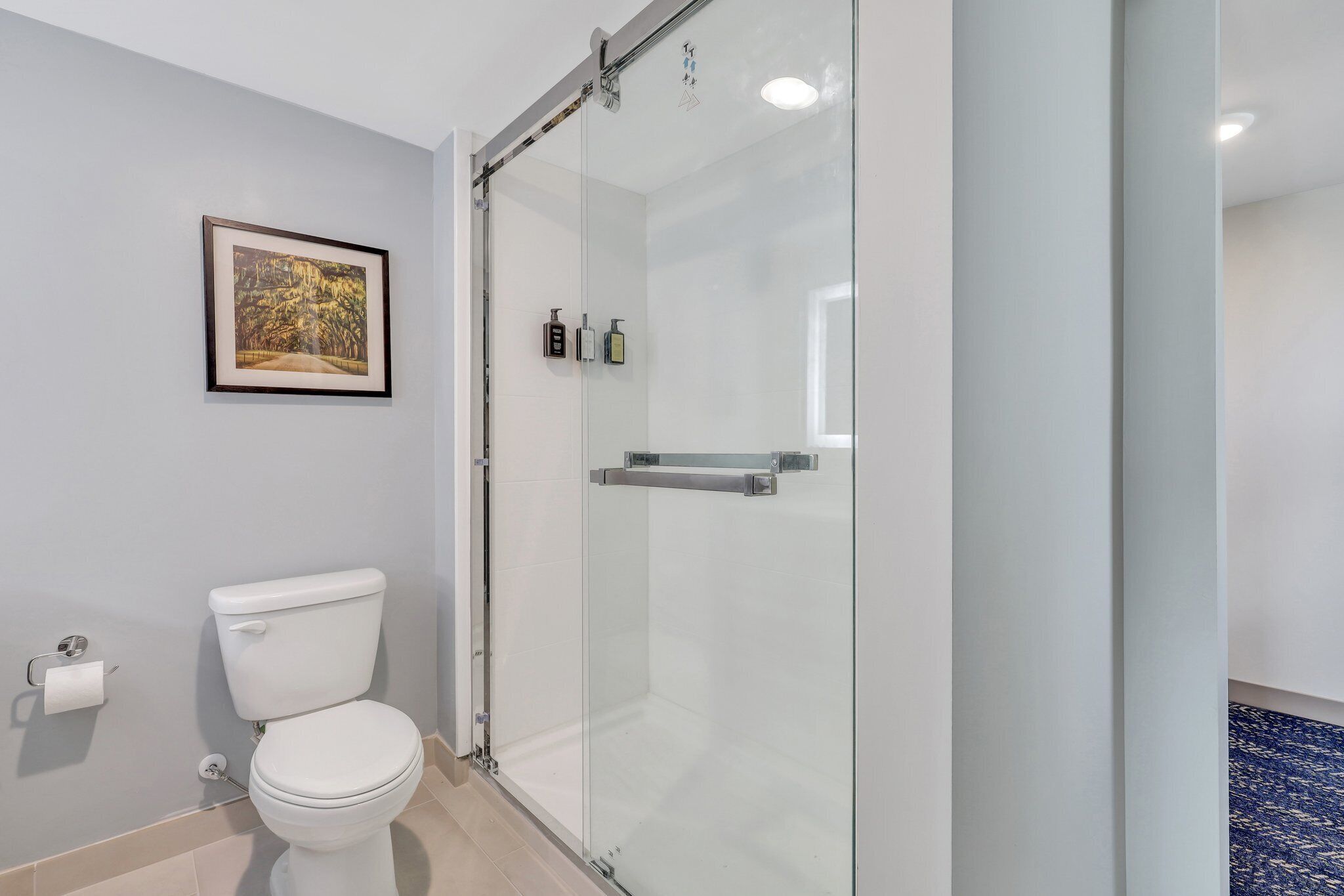 Habitación individual estándar, 1 cama King size | Baño | Amenidades de baño de diseñador, secadora de cabello, toallas, jabón 