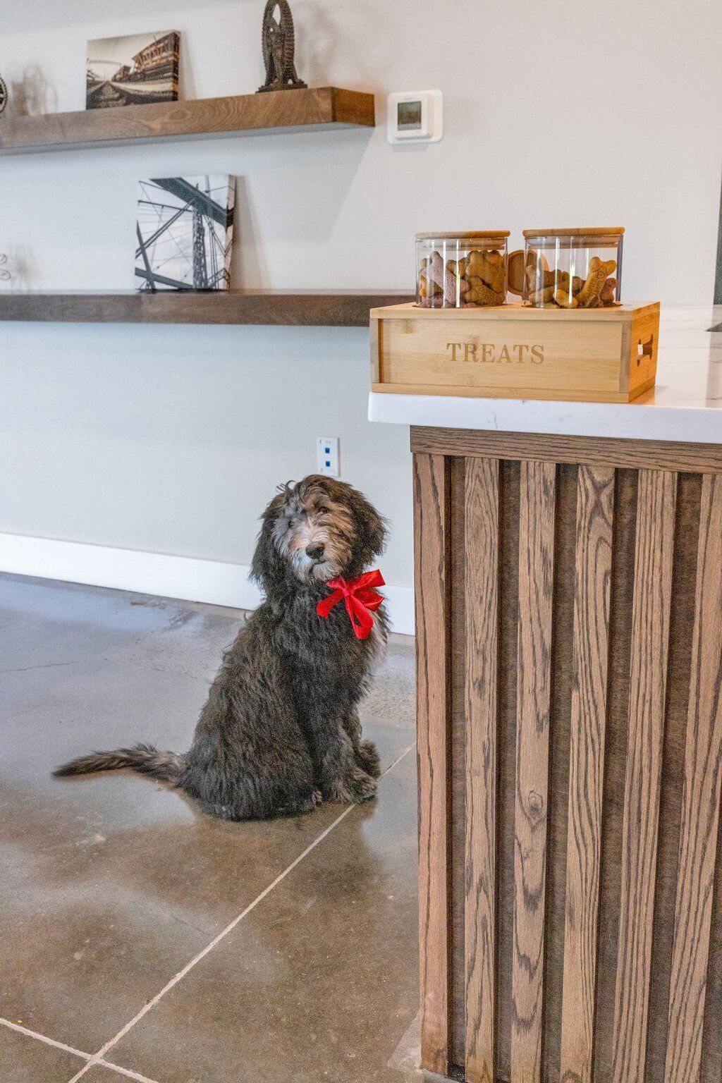 A dog sitting on a tiled floor next to a wooden cabinet labeled "TREATS".