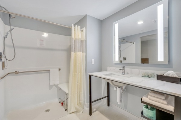 Standard Room, 1 King Bed, Accessible | Bathroom | Designer toiletries, hair dryer, towels, soap