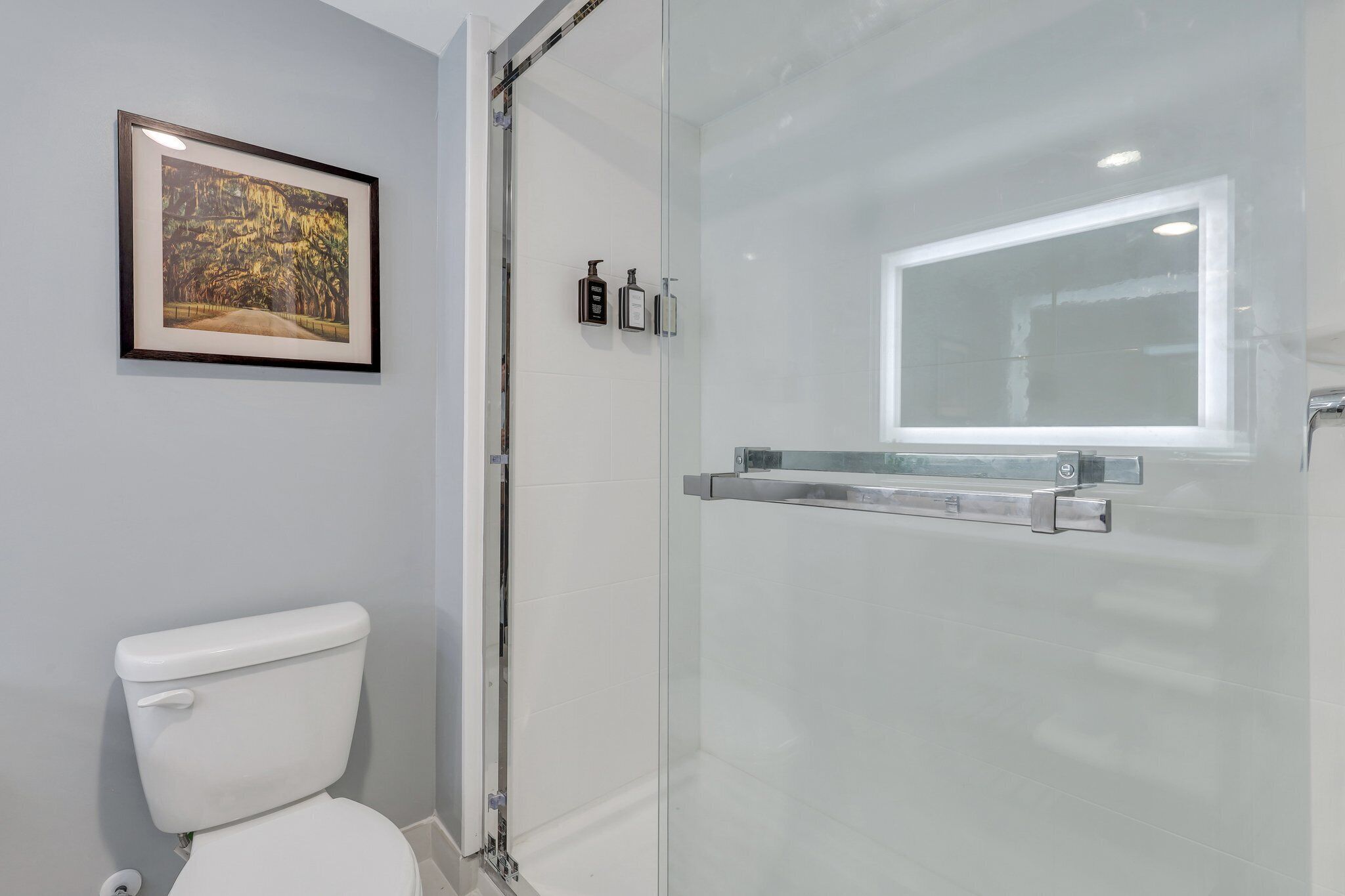 A bathroom with a glass shower enclosure, a framed picture on the wall, and a toilet.