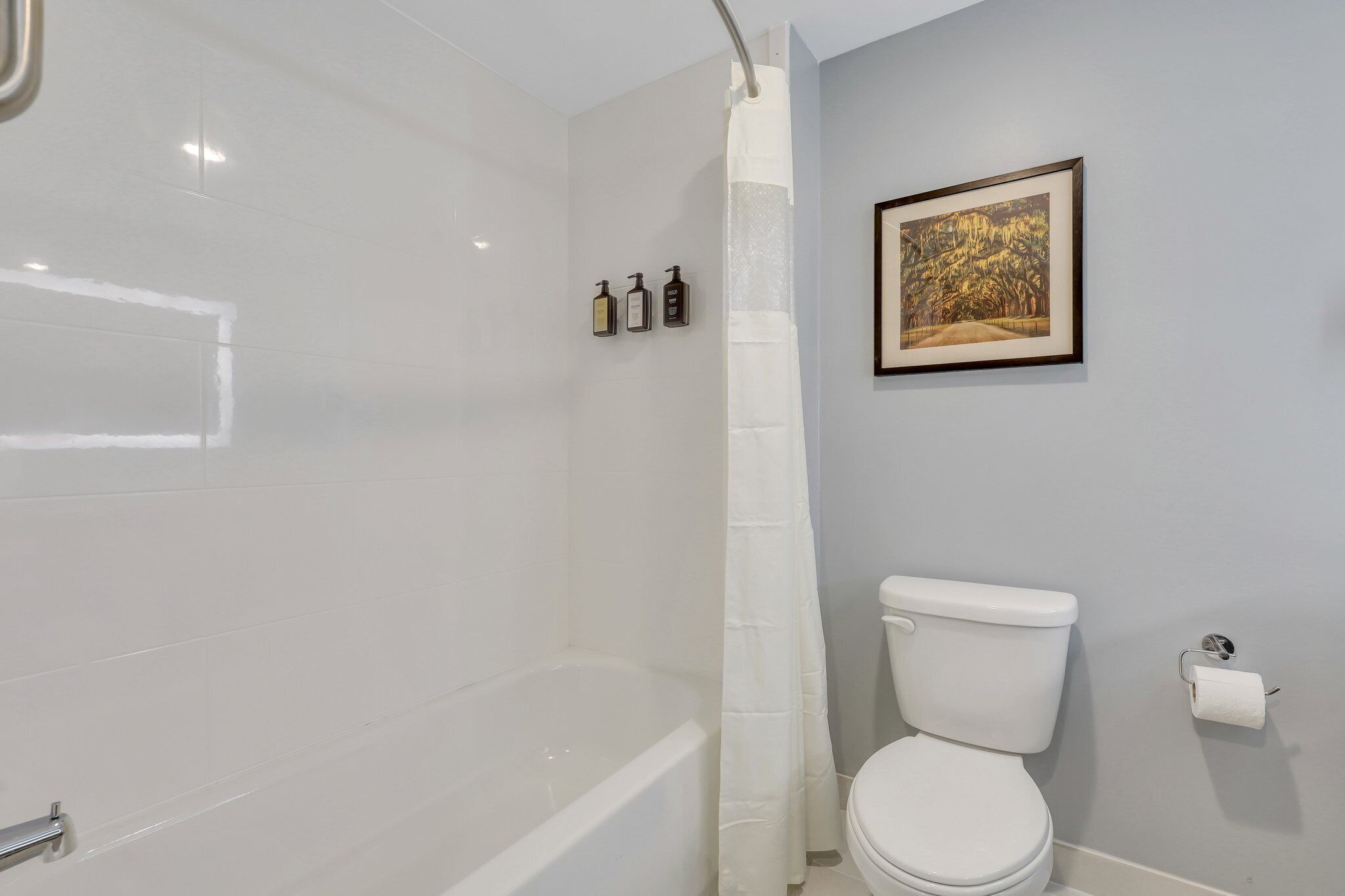 A bathroom with a bathtub, toilet, and a shower curtain. There are three bottles of toiletries on the wall.