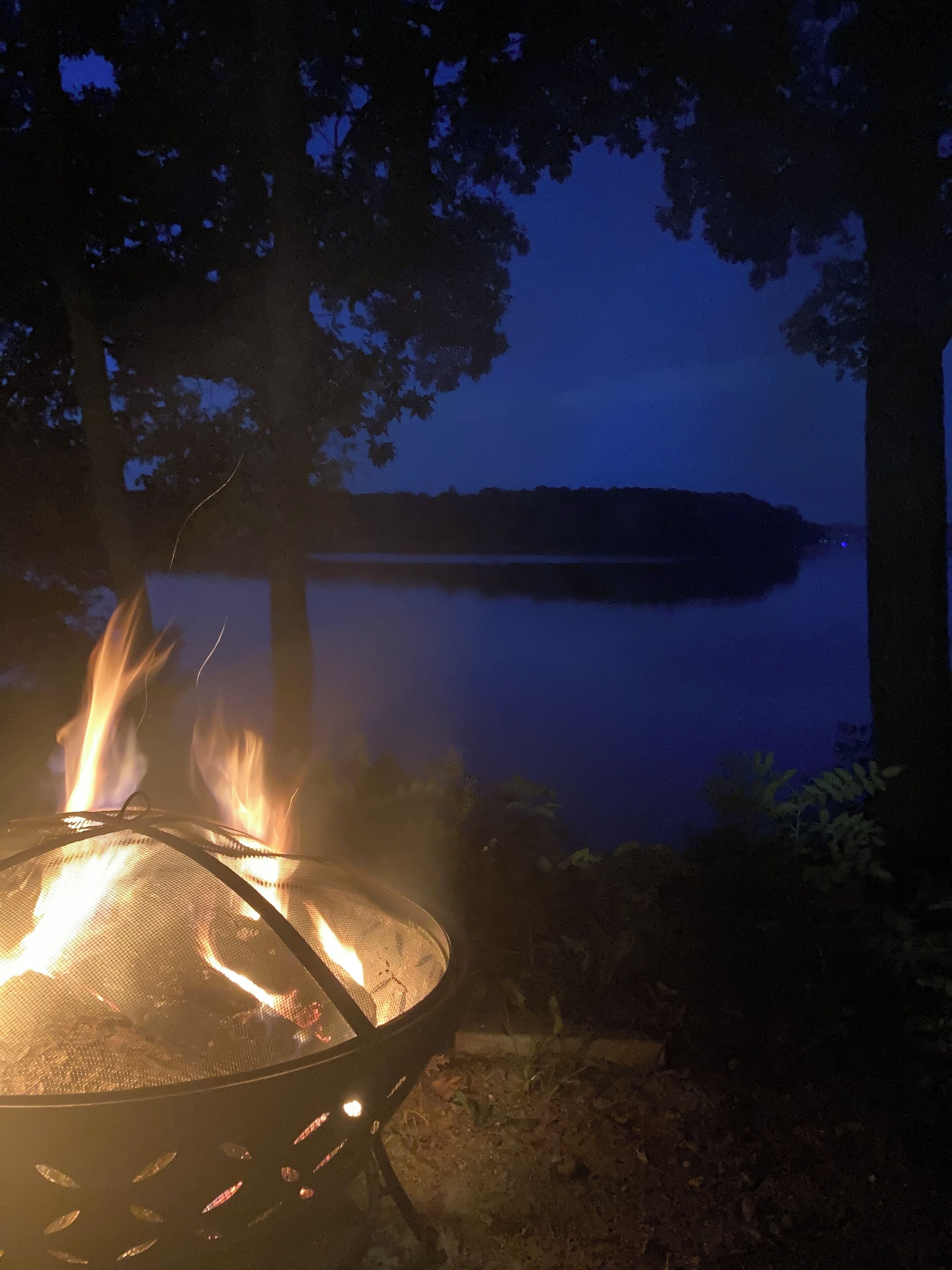 Cozy Lakeside Cabin with breathtaking views! Pet friendly!