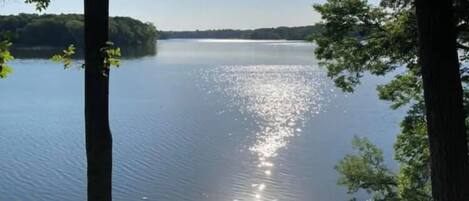Un lago tranquilo rodeado de árboles.