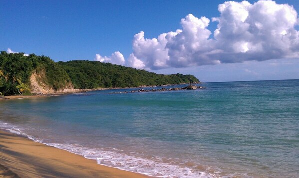 Playa en los alrededores, camastros y toallas de playa 
