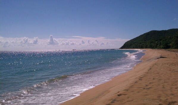 Playa en los alrededores, camastros y toallas de playa 