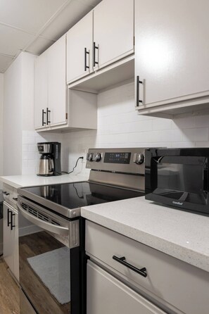 Private kitchen - Elegant/Entire Unit/1 Bedroom (Kansas City)