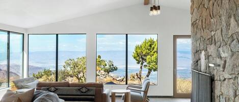 TV, fireplace, books