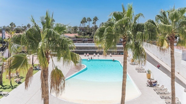 A pool area with palm trees, lounge chairs, and a clear blue pool.