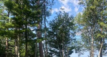 Lake Michigan cute cottage for a private getaway