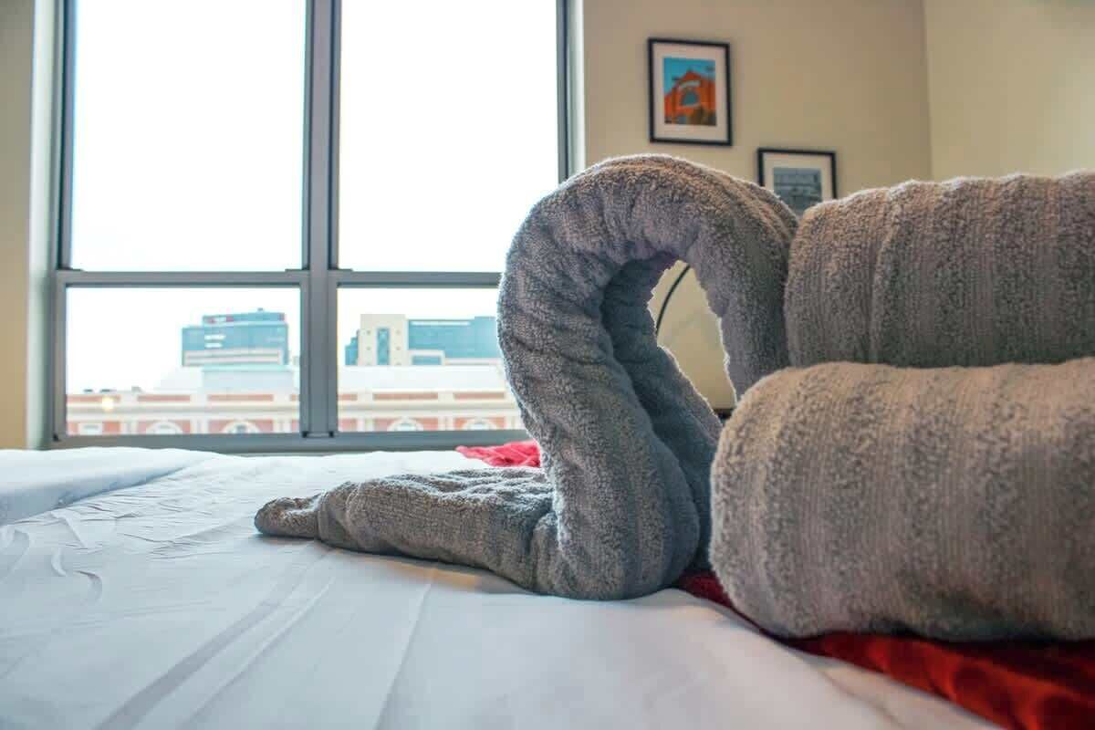 A bed with a large, plush, gray, curved object on it, possibly a towel or blanket, in a room with a large window and a framed picture on the wall.