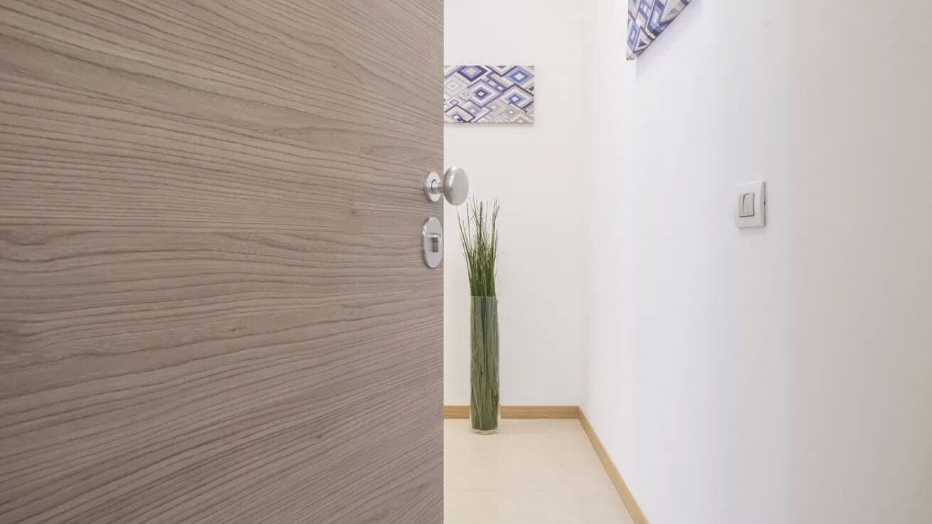 A hallway with a wooden door, a patterned wall, a light switch, and a tall green plant.