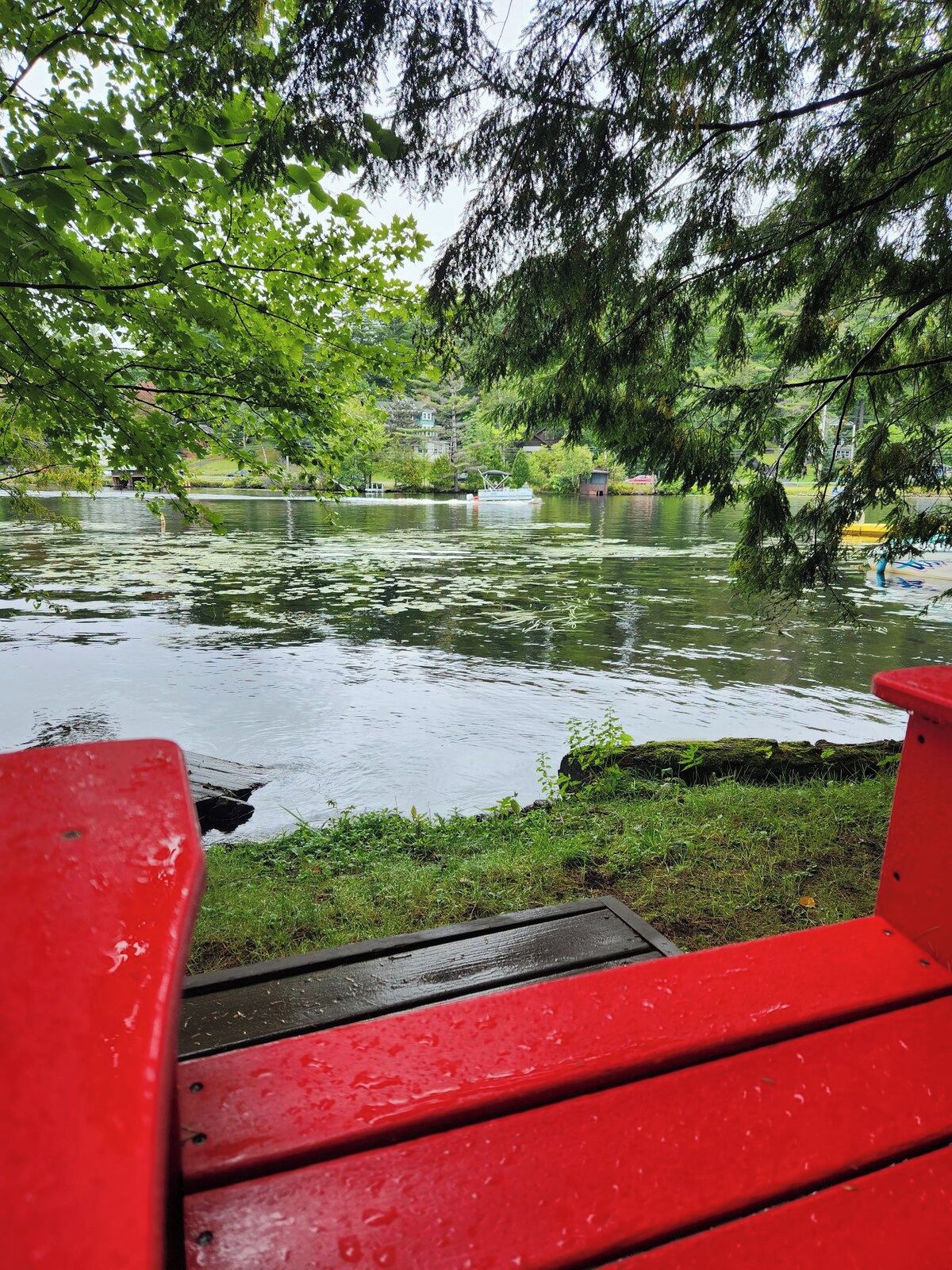 Ein Park mit Teich, Bänken und Bäumen.